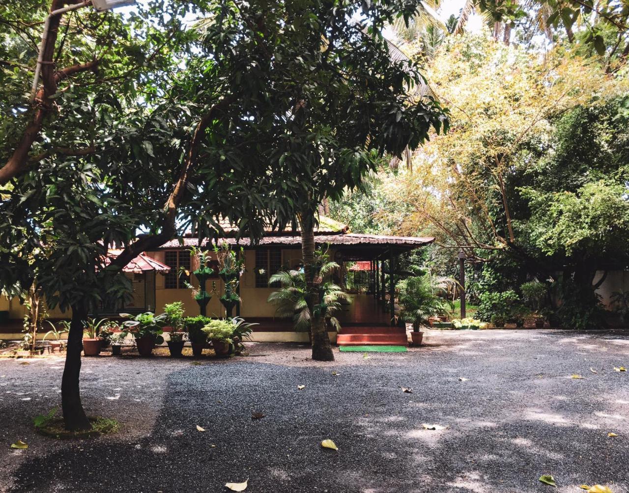 Palm Grove Service Villa Kochi Dış mekan fotoğraf