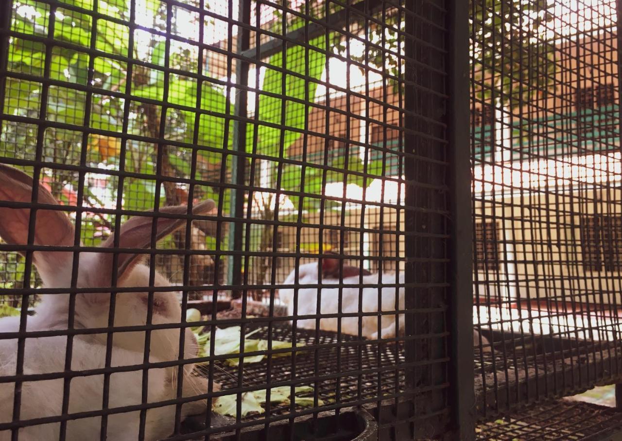 Palm Grove Service Villa Kochi Dış mekan fotoğraf