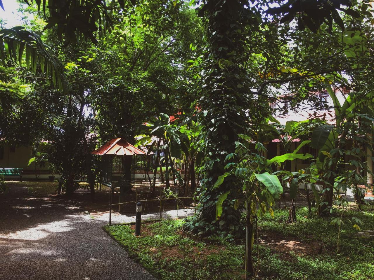 Palm Grove Service Villa Kochi Dış mekan fotoğraf