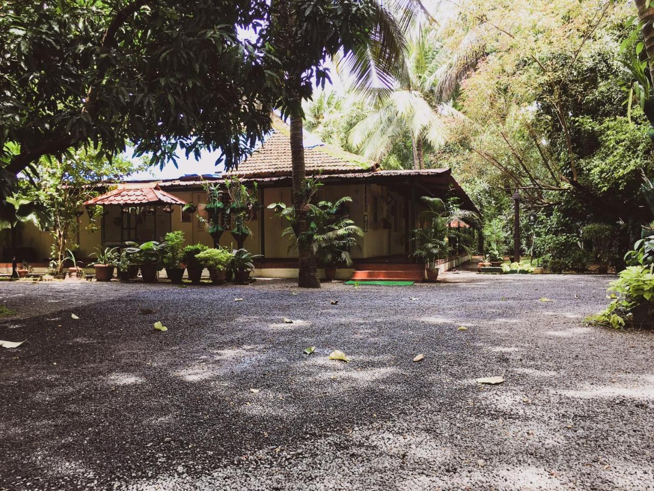 Palm Grove Service Villa Kochi Dış mekan fotoğraf