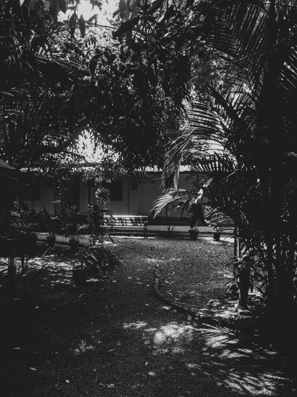 Palm Grove Service Villa Kochi Dış mekan fotoğraf
