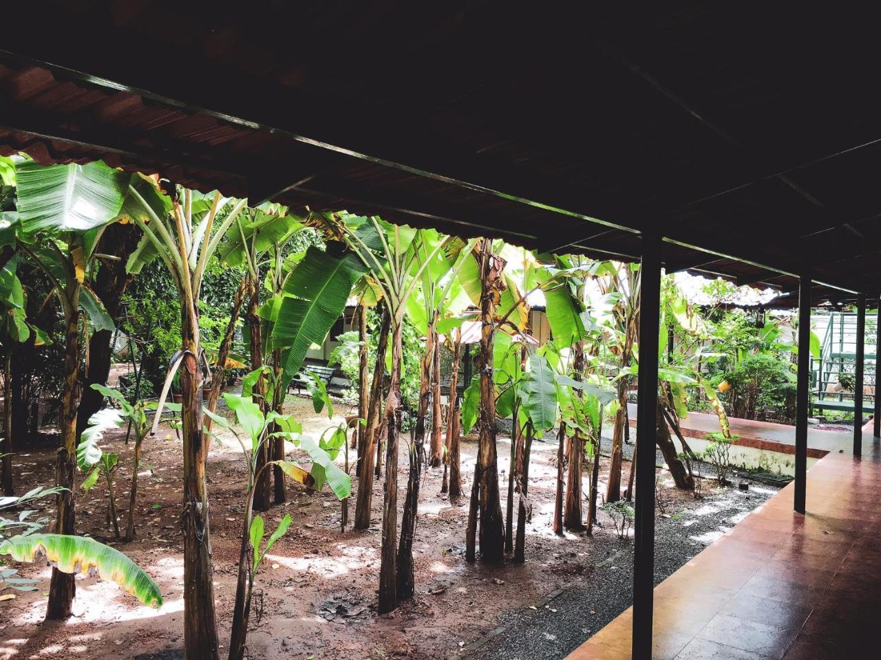 Palm Grove Service Villa Kochi Dış mekan fotoğraf