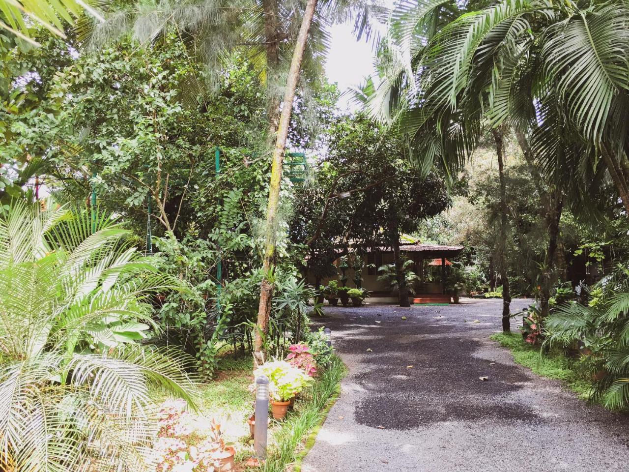 Palm Grove Service Villa Kochi Dış mekan fotoğraf