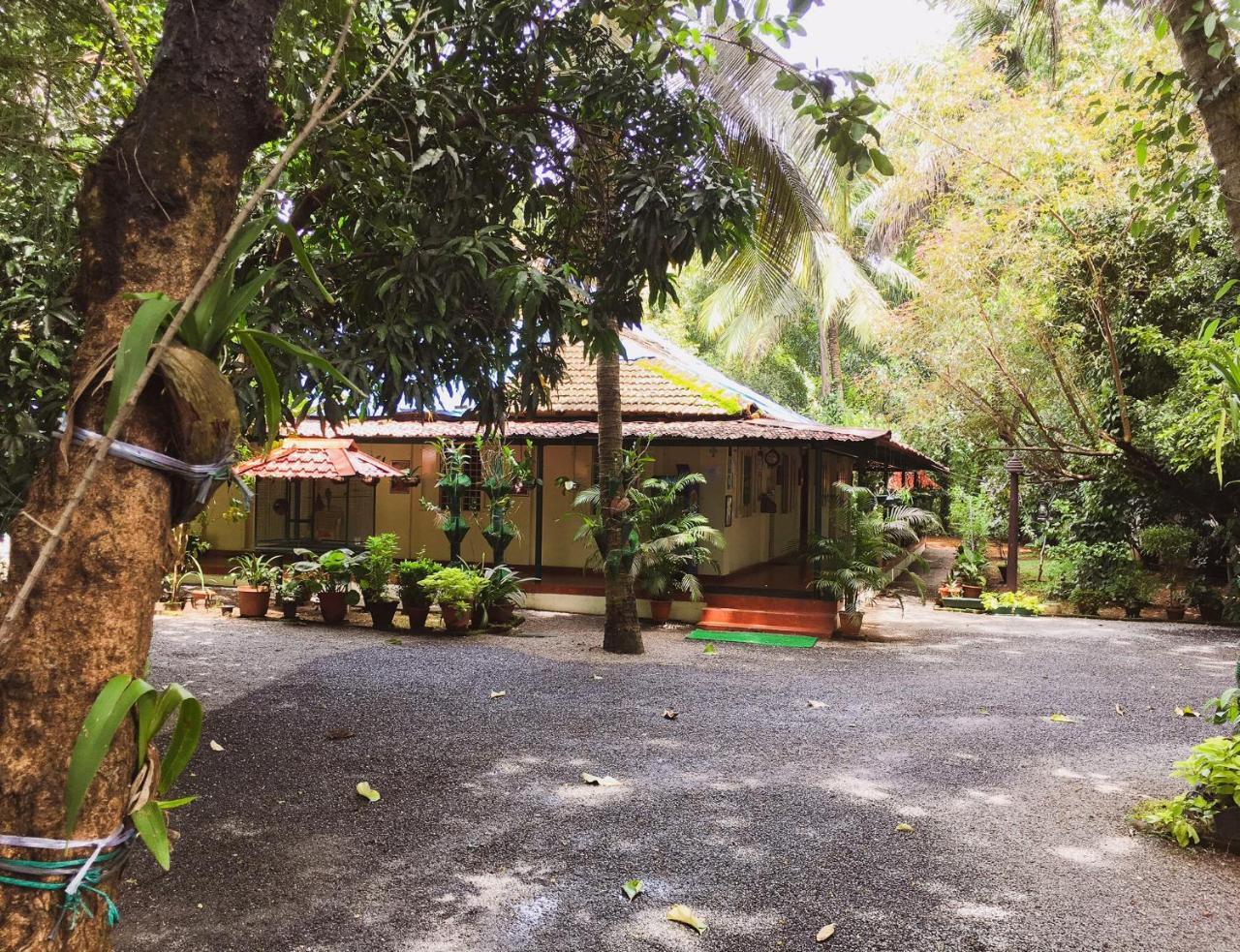 Palm Grove Service Villa Kochi Dış mekan fotoğraf