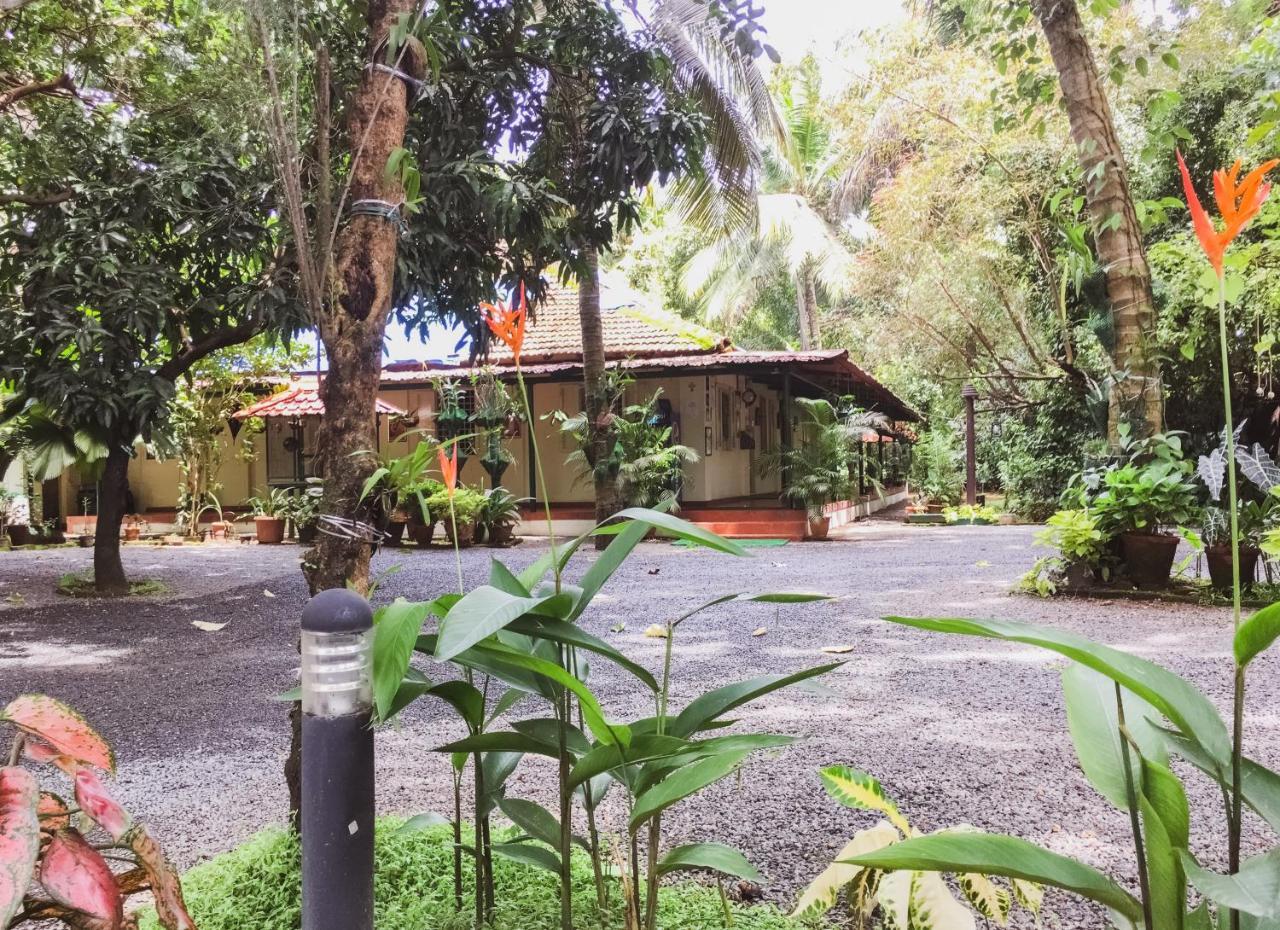 Palm Grove Service Villa Kochi Dış mekan fotoğraf